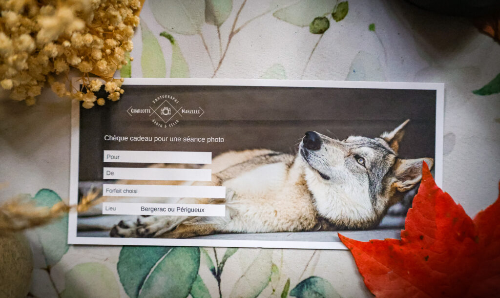 chèque cadeau pour une séance de photo animalière